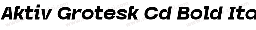 Aktiv Grotesk Cd Bold Italic字体转换